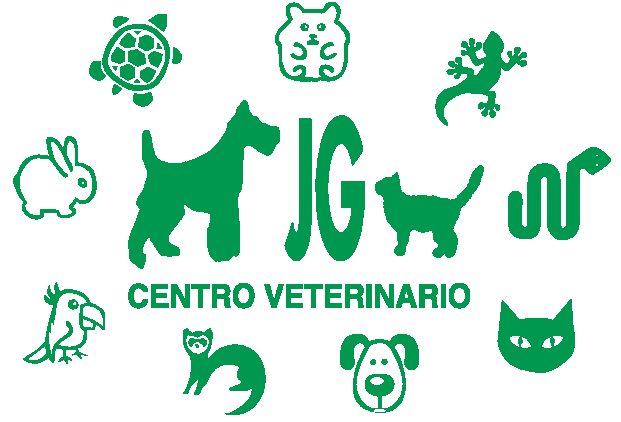 Hospital Veterinario J.Griñan